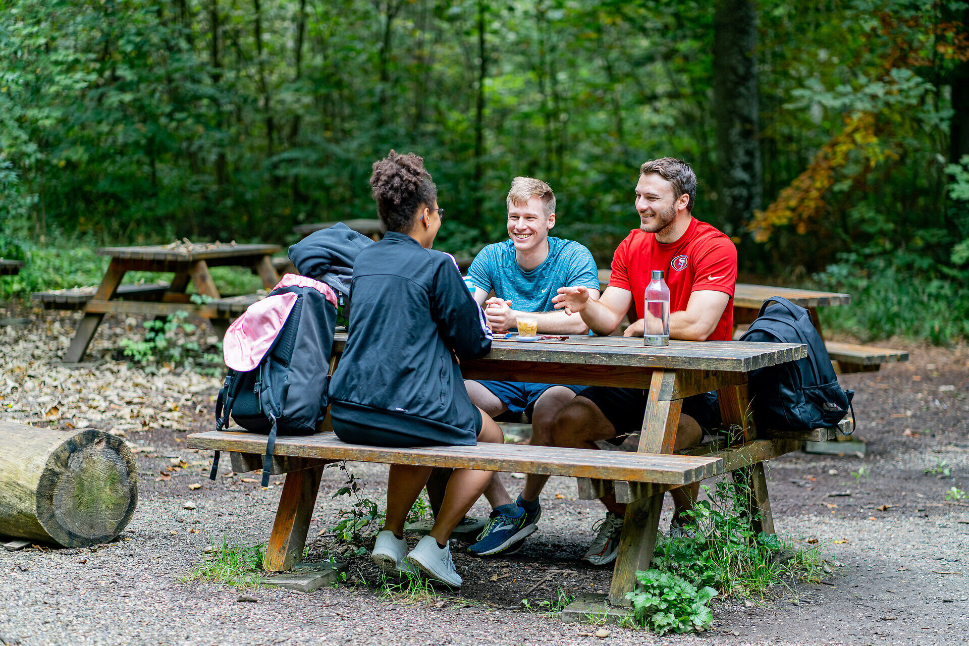 Picknick im Siebentischwald