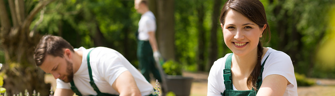 Azubis bei Josef Saule Landschaftsbau