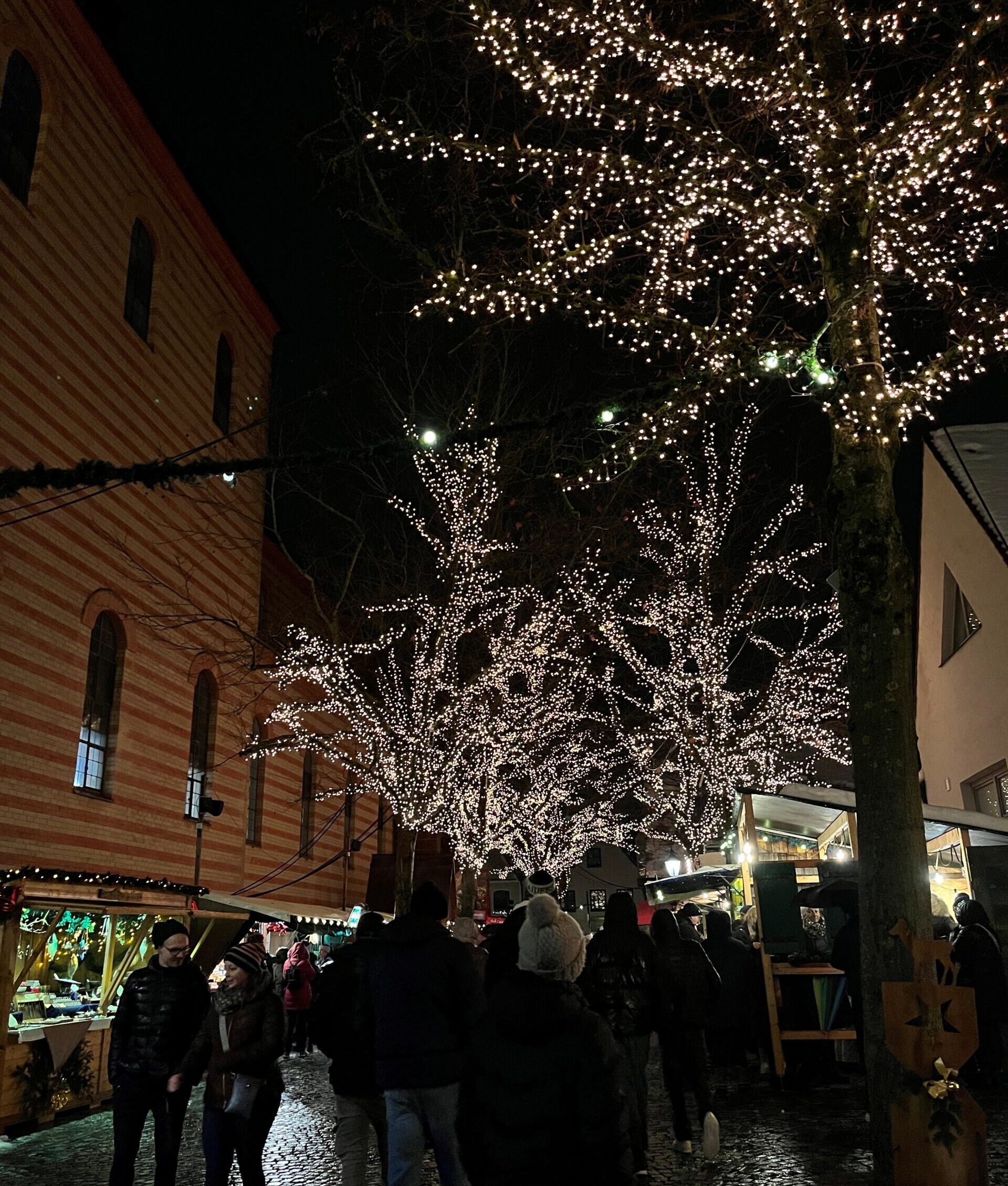 Friedberger Advent
